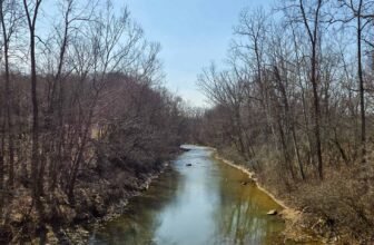 The Little Issues E-newsletter #460 – Life, laughter, and plenty of nice meals!