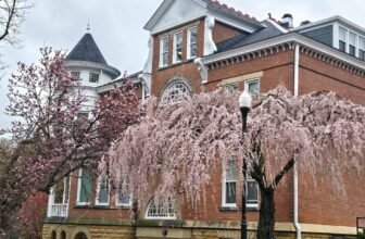 The Little Issues Publication #463 – Life, laughter, and plenty of nice meals!