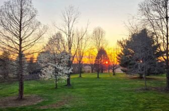 The Little Issues E-newsletter #464 – Life, laughter, and plenty of nice meals!