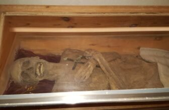 By no means-Earlier than-Seen Anal Embalming Technique Stored This European Mummy Preserved for Almost 300 Years