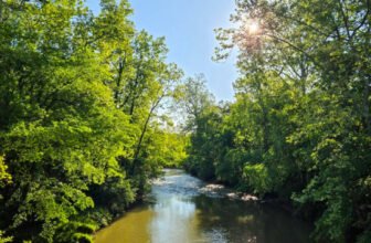 The Little Issues E-newsletter #470 – Life, laughter, and plenty of nice meals!