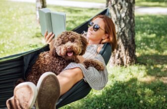 How you can Make Relaxation Really feel Productive (So You Really Do It)