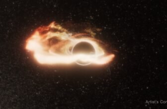 A Rogue Black Gap of Uncommon Dimension Is Devouring Stars in a Distant Galaxy