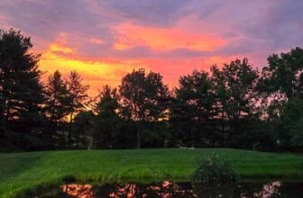 The Little Issues E-newsletter #475 – Life, laughter, and many nice meals!