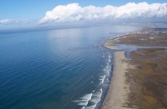 NASA Satellite tv for pc Captures Huge Wastewater Move off California Coast