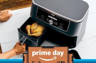 Prime Day Ninja offers embrace certainly one of our favourite dual-zone air fryers for $180