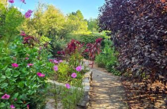 The Little Issues Publication #486 – Life, laughter, and plenty of nice meals!