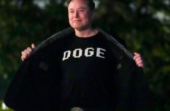 Elon Musk Followers Are Nonetheless Shedding Ridiculous Quantities of Cash to Crypto Scams