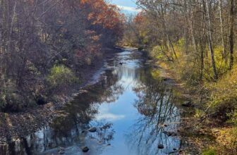 The Little Issues Publication #497 – Life, laughter, and plenty of nice meals!