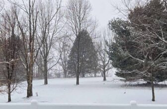 The Little Issues Publication #499 – Life, laughter, and many nice meals!