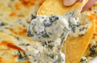 12 Greatest Social gathering Appetizer Dips